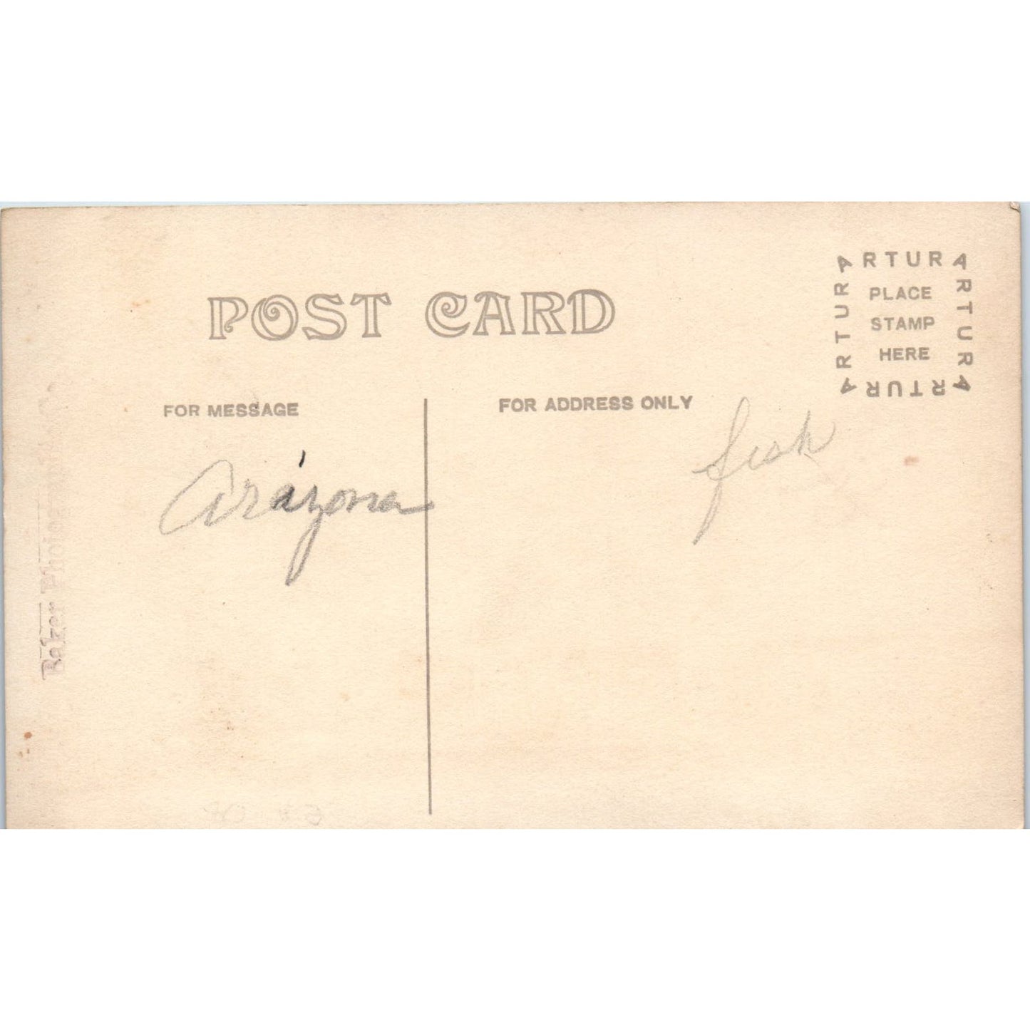 School of Fish Baby Perch Arizona RPPC Real Photo Postcard PB1