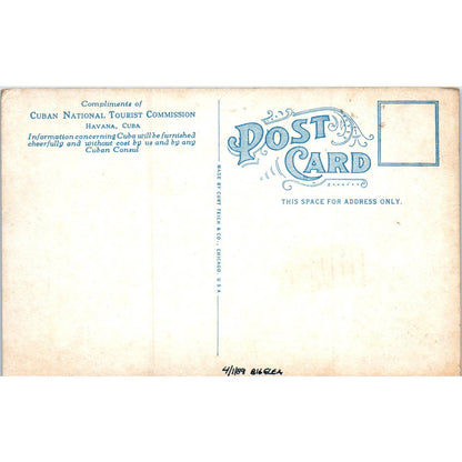 The President's Palace Havana Cuba Original Postcard TK1-P16