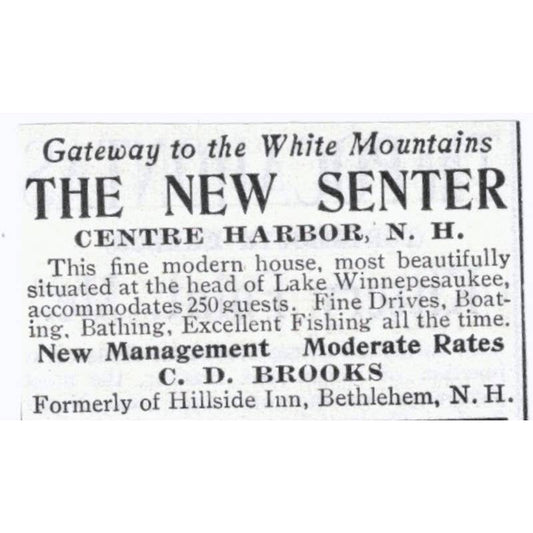 The New Senter White Mountains Centre Harbor NH C.D. Brooks - 1903 Ad TJ8-7-8