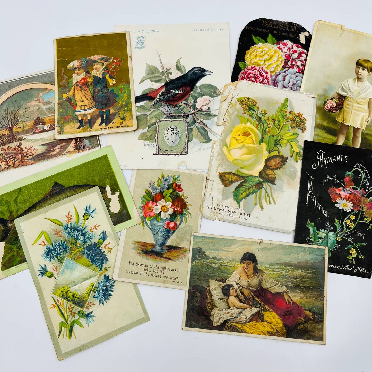 Huge Lot Mostly 1880s Victorian Trade Cards Lion Coffee Singer Sewing EA2