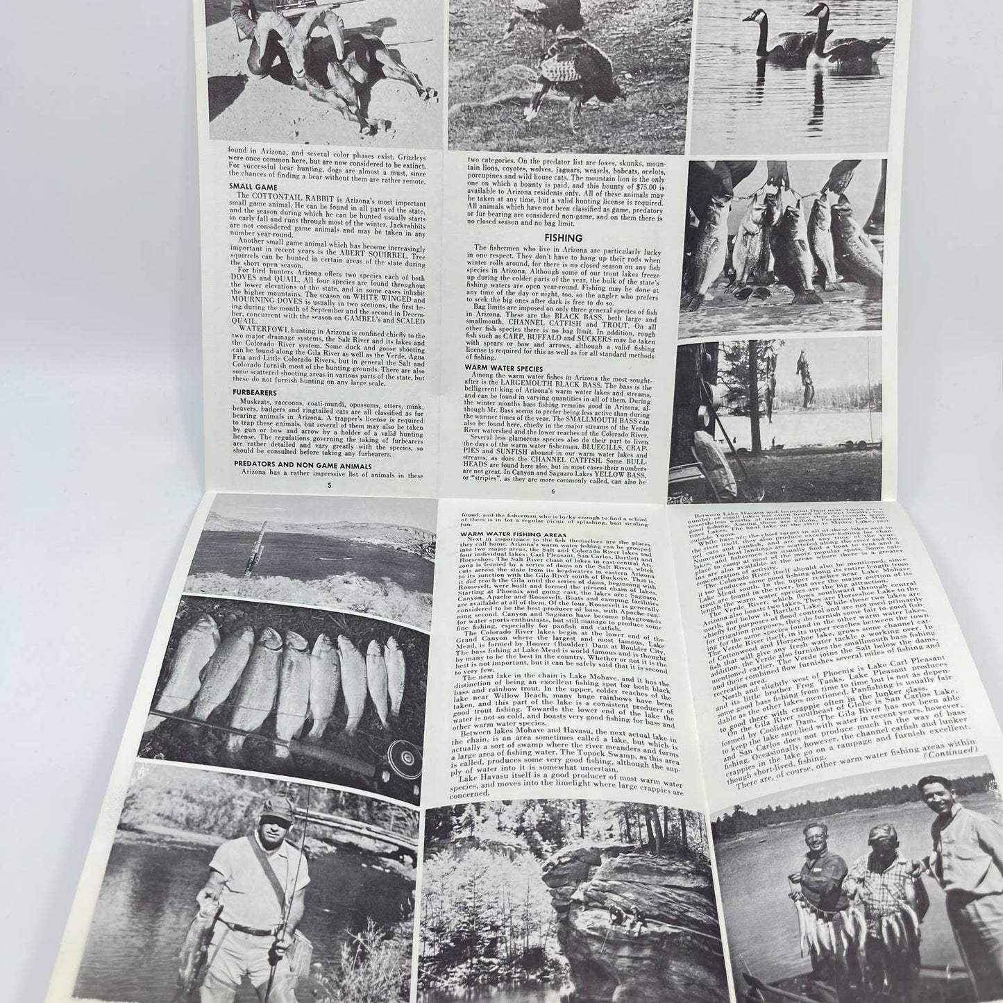 1961 Hunting and Fishing in Arizona Brochure Fold Out SC9