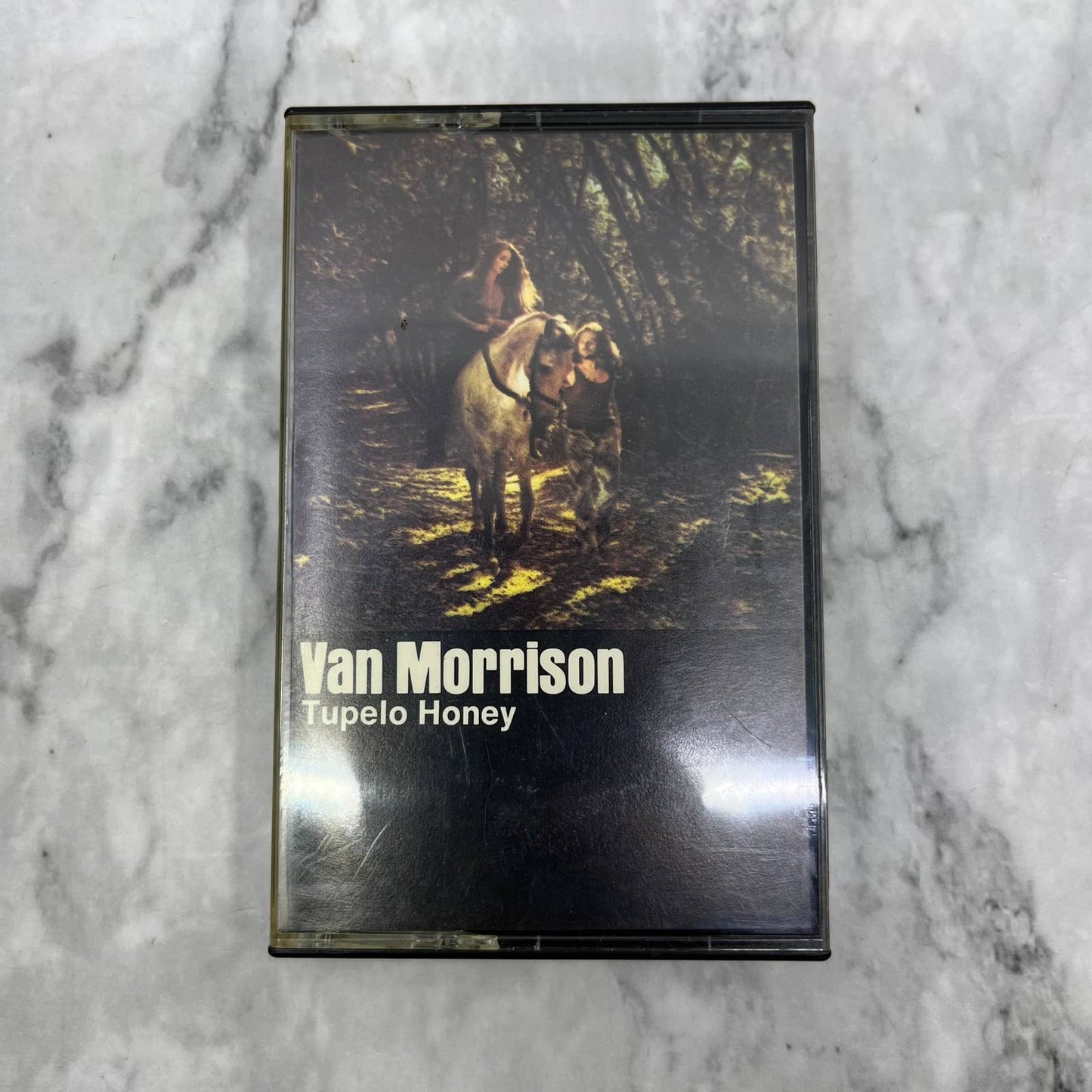 Van Morrison - Tupelo Honey Cassette Tape TD9-64