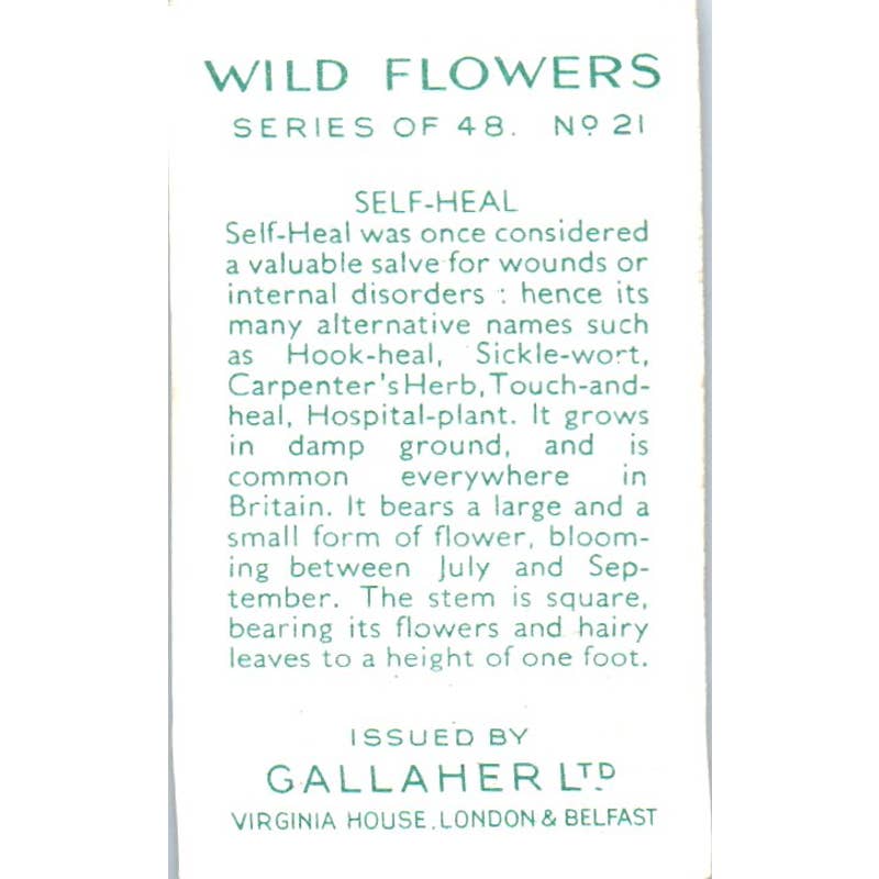 1930s Gallaher Cigarette Card Wild Flowers #21 Self-Heal SE5