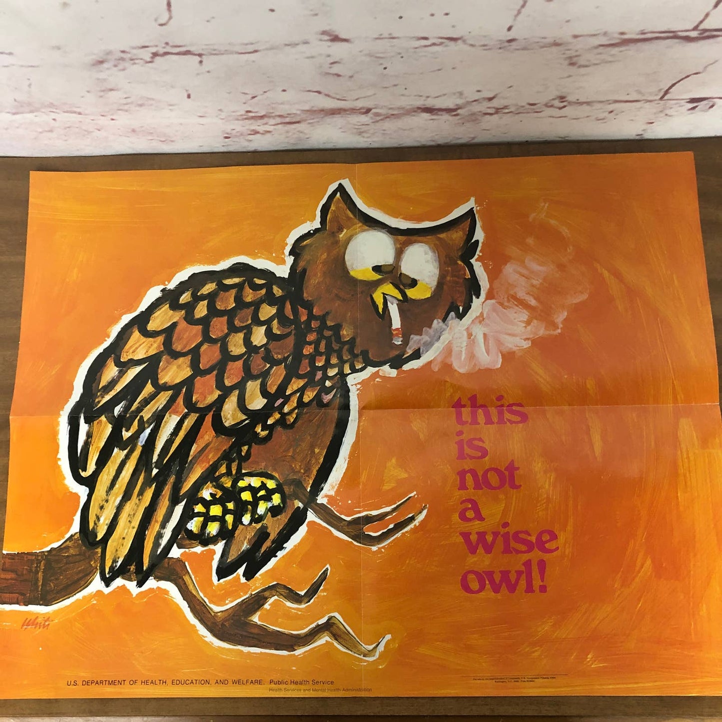 Rare 1970s Anti-Smoking School Poster This is Not a Wise Owl 21 x 16” AC9