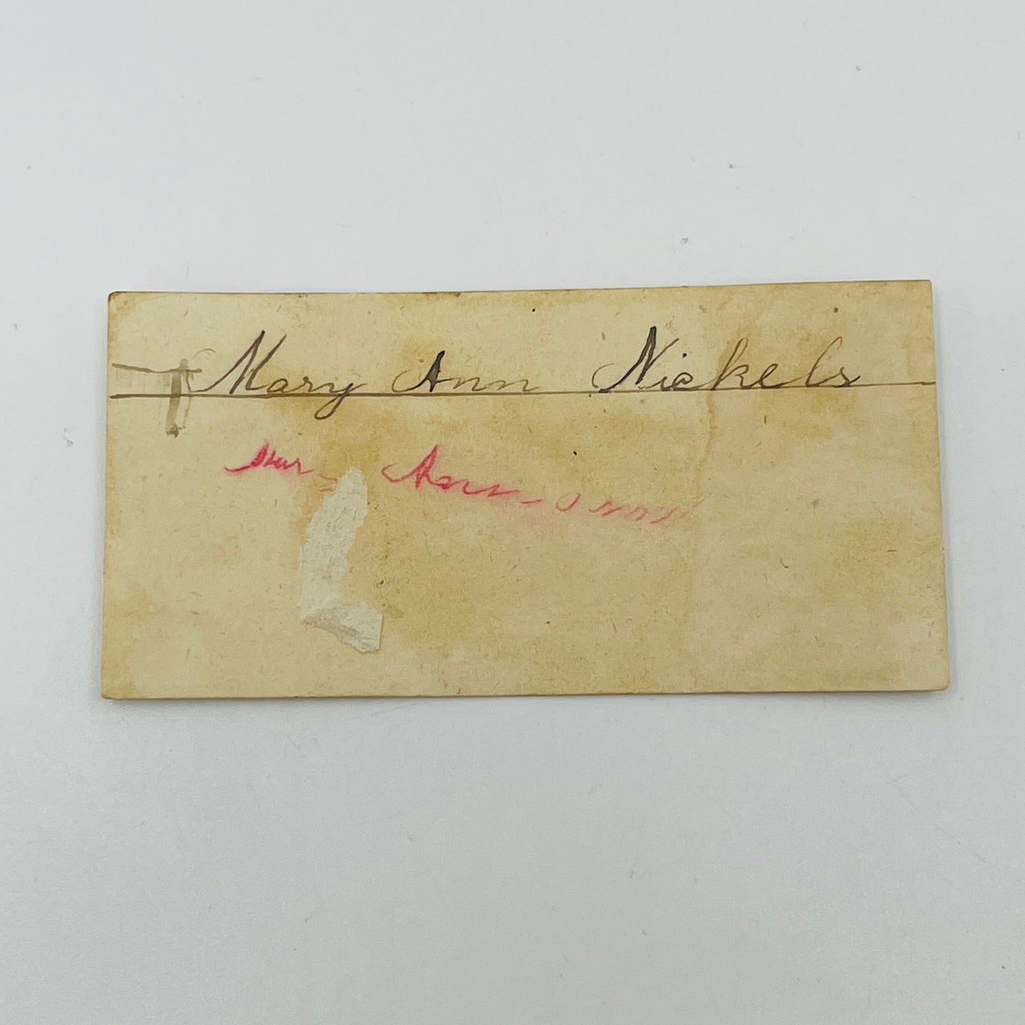 1880s Victorian Calling Card Sarah Haugh Floral Ladybug SAH9-S8