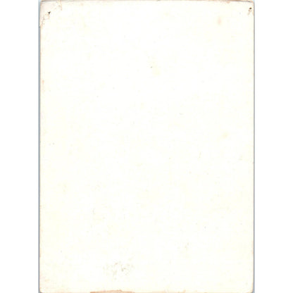 The Flag of Washington's First Army 1916 Brett Lithograph 3.75x5" TK1-21