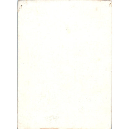 The Flag of Washington's First Army 1916 Brett Lithograph 3.75x5" P2-1