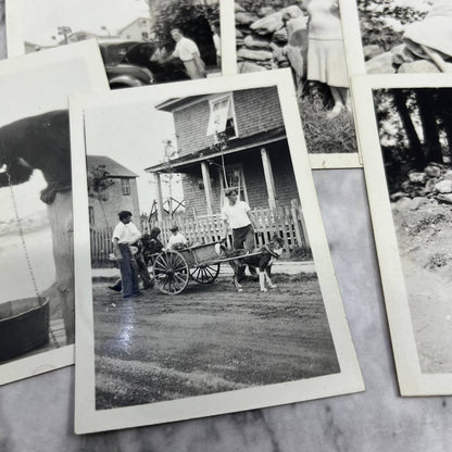 1932 Collection of Photos & Negatives East Coast Vacation Views TJ9-PG6