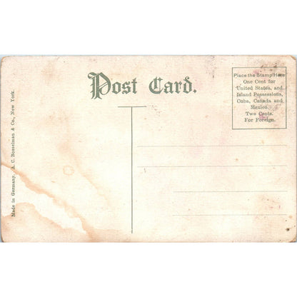 Smithsonian Institute c1910 Washington D.C. Original Postcard TK1-P2