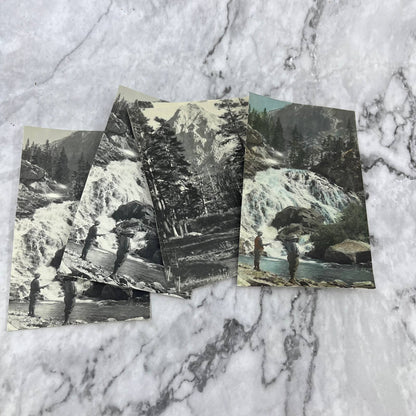 1920s Collection of Photos & Negatives of California Landscape Views TJ8