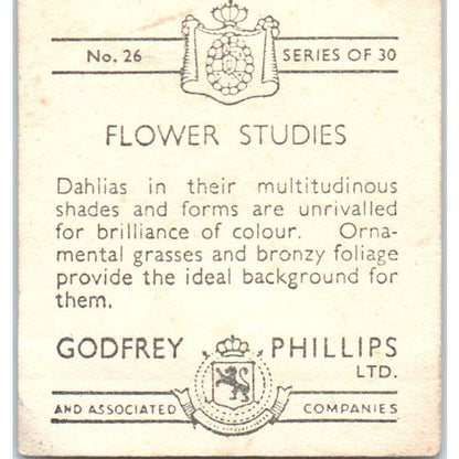 Godfrey Phillips Flower Studies #26 Dahlias Cigarette Card SE5