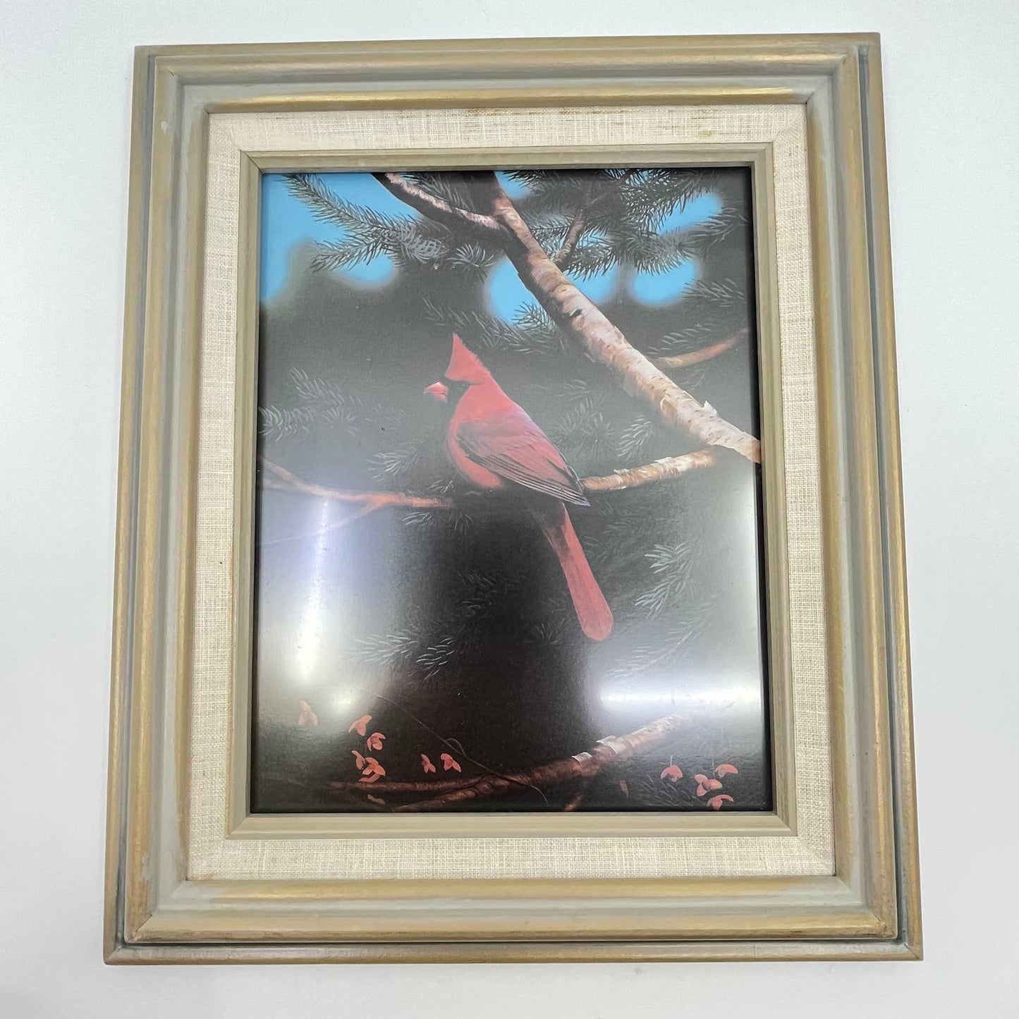 1970s Red Cardinal Framed Photo Print 11x13 TE7