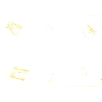 China Ambassador Tsiang Presenting Flag to Pres. Ward Original Photo 5x7 TK1-P4