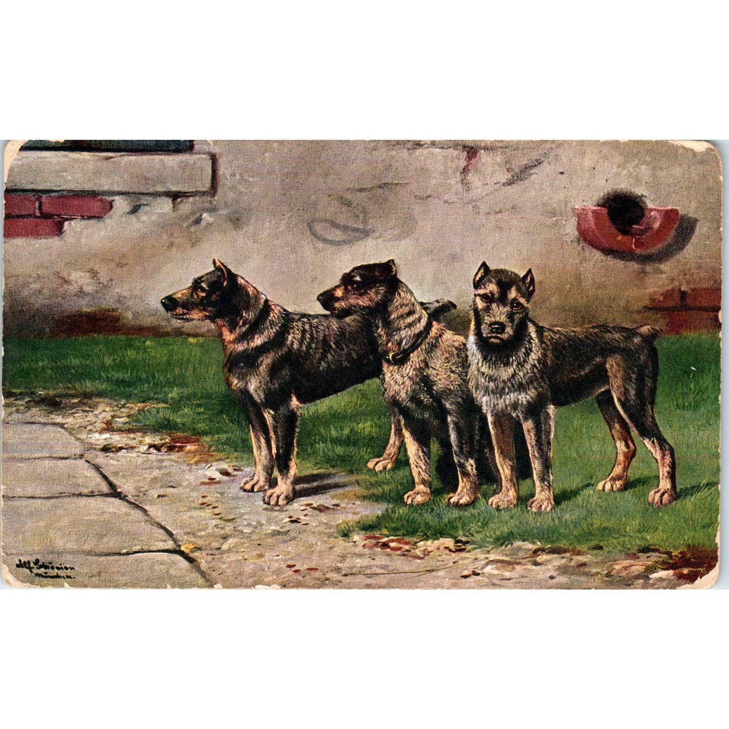 Antique Postcard Trio of German Shepherd Dogs w/ Docked Ears/Tails Germany EA3