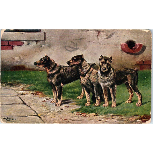 Antique Postcard Trio of German Shepherd Dogs w/ Docked Ears/Tails Germany EA3