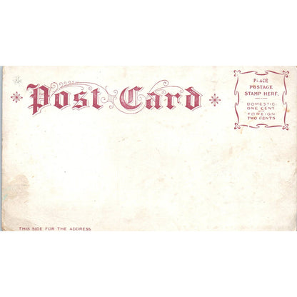 The Congressional Library c1905 Washington D.C. Original Postcard TK1-P2