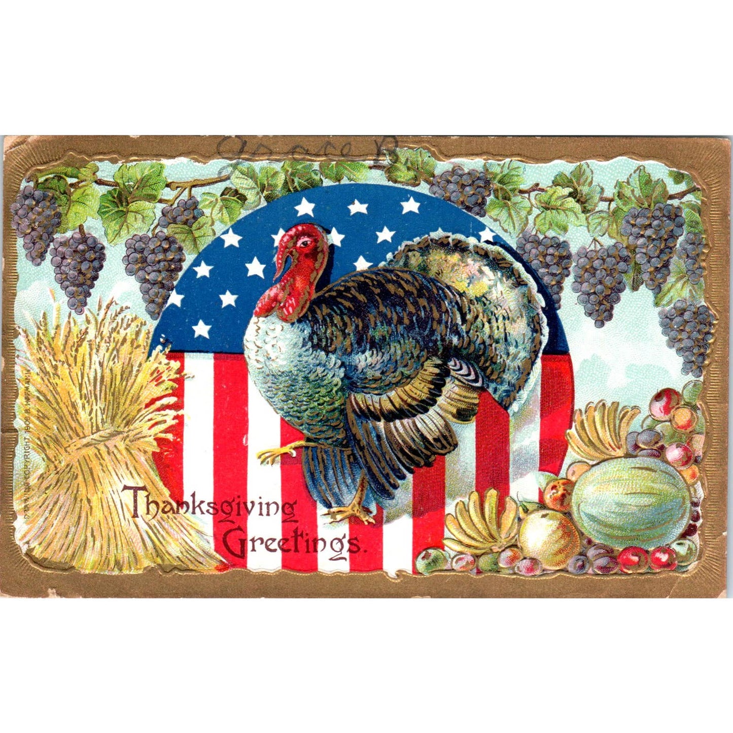 Thanksgiving 1909 Turkey Gilt Original Postcard TK1-22