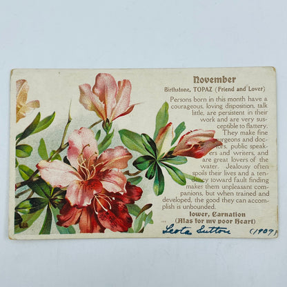 1910s Post Card Birthstone November Topaz Carnation PA6