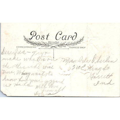 Halloween Owls in Witch Costume Jack-O-Lanterns Whitney Original Postcard TK1-25