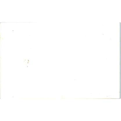 US Air Force Airplane Wreckage 1950s Original Photo 3.5x5" TK1-23