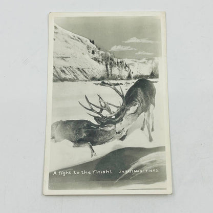 Early 1900s RPPC Deer Steer Bucks Locking Horns Fighting Snow Winter PA9