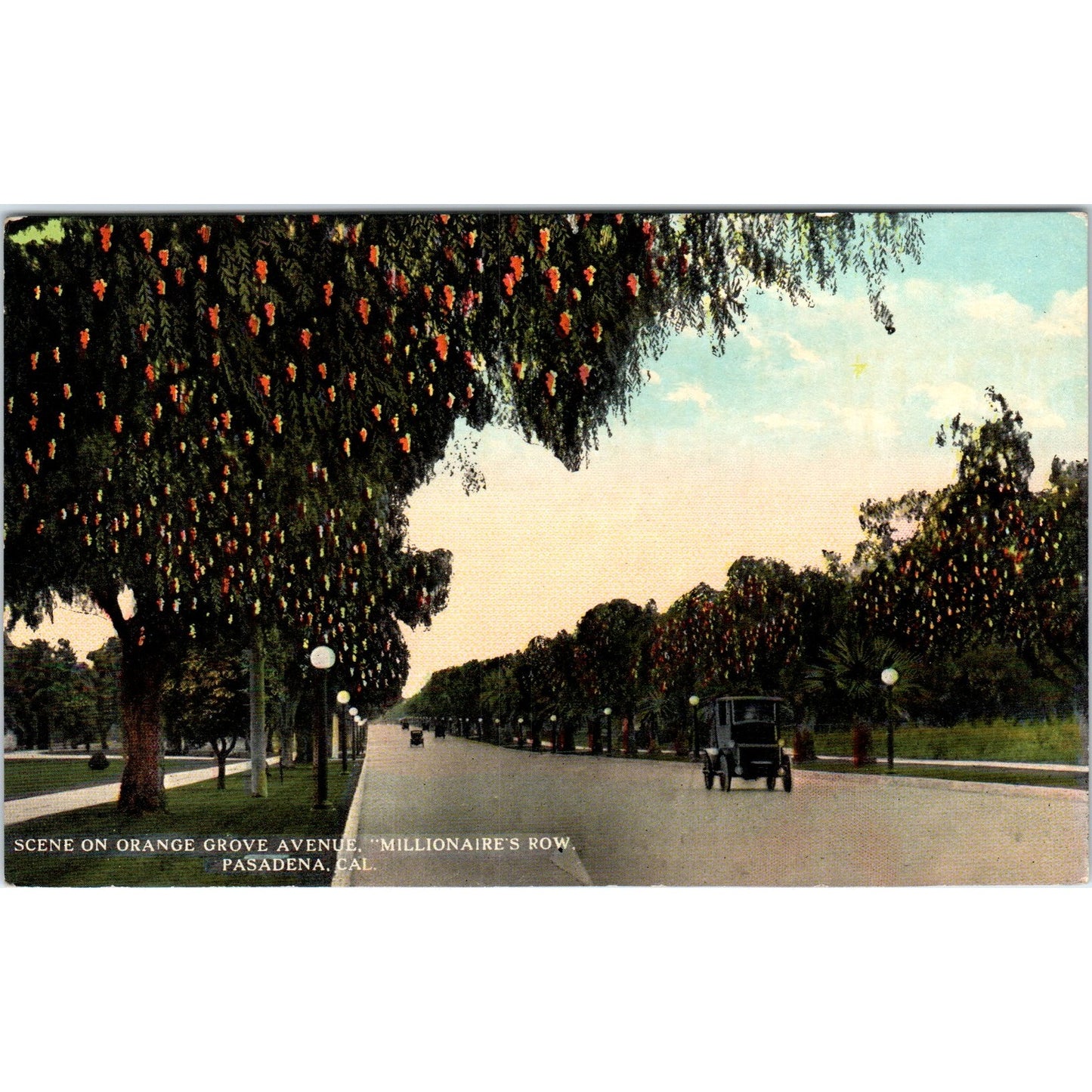 Orange Grove Avenue Millionaire Row Pasadena California c1910 Postcard P1-15