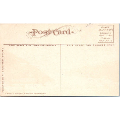 c1910 Taku Glacier Taku Inlet Alaska Original Postcard TK1-29