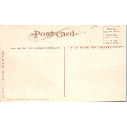 c1910 Taku Glacier Taku Inlet Alaska Original Postcard P1-11