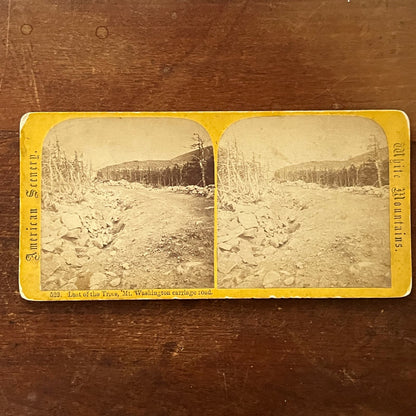 Last of the Trees Mt. Washington Carriage Road Antique Stereoview Card TJ9-V2