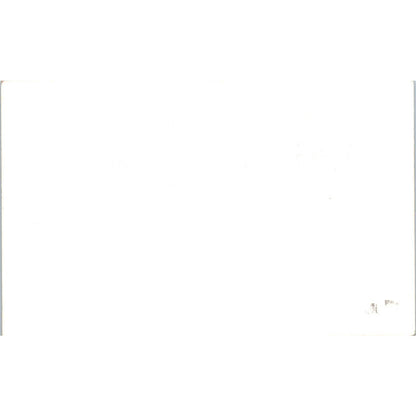 Tahquamenon Falls Boat Trip - Original RPPC Postcard TJ9-P1