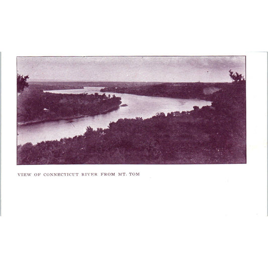 View of Connecticut River From Mt. Tom c1905 Original Postcard TJ9-P2