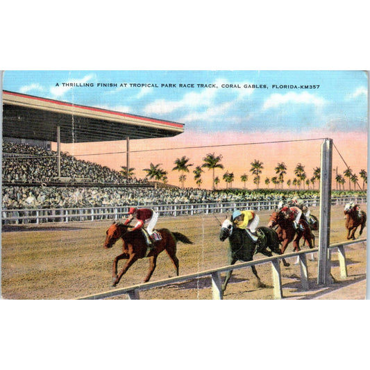 Tropical Park Horse Race Track Coral Gables Florida Original Postcard TK1-23