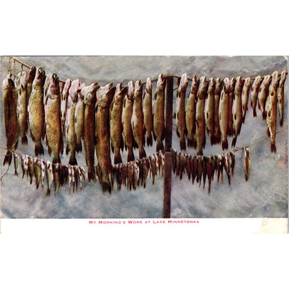 Morning's Catch Lake Minnetonka MN Fish on Line 1912 Original Postcard PB1