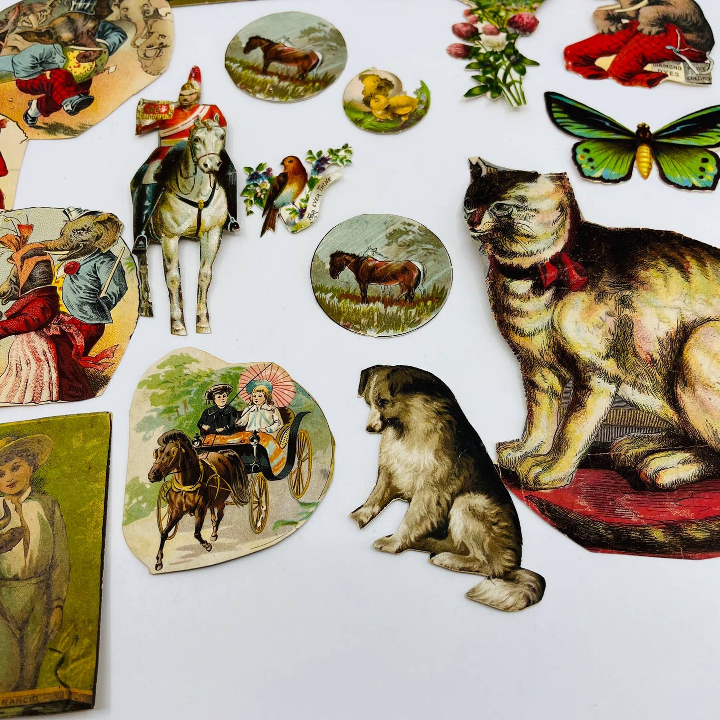 1880s Huge Lot Victorian Cut Out Scrap Animals Cat Dog Horse Bird Elephant EA2