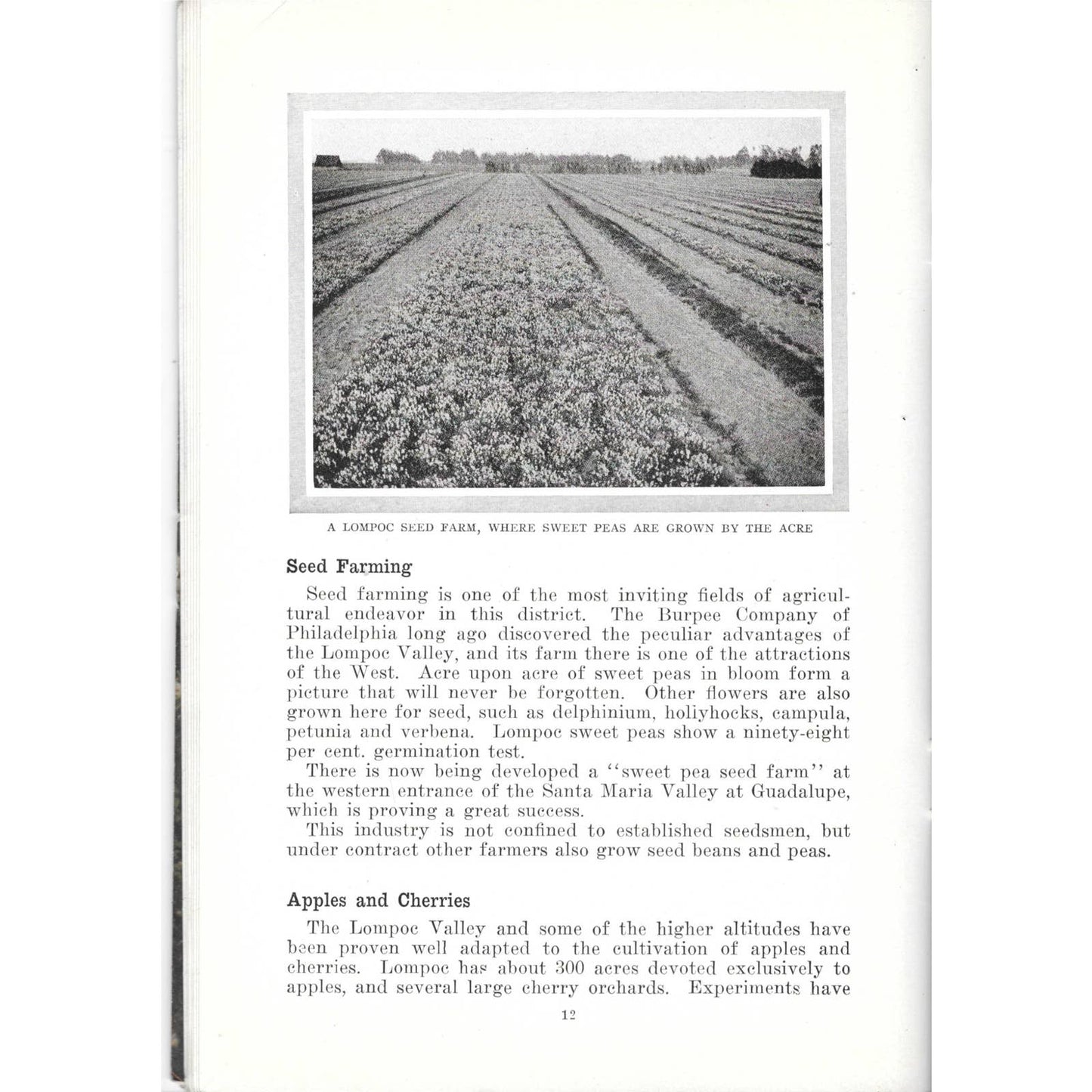 1915 Santa Barbara County California Frank M. Selover Panama-Pacific Expo TJ7