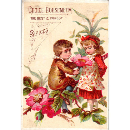 1880s Victorian Trade Card Choice Bohsemeem Spices Weikel & Smith Spice Co SF2-3