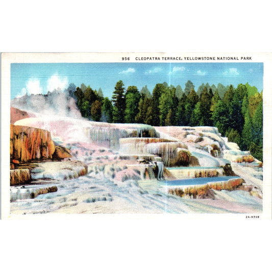 Cleopatra Terrace Yellowstone Park Original Postcard P2-5