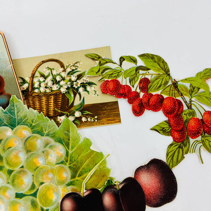 ANTIQUE Lot of 8 Victorian Lithograph Cut Outs Fruit Vegetable Flora AA3