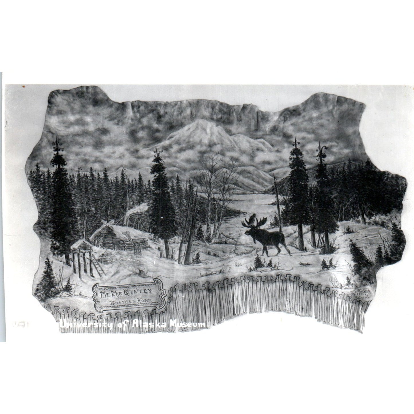 University of Alaska Museum RPPC Alaska Original Postcard P1-11