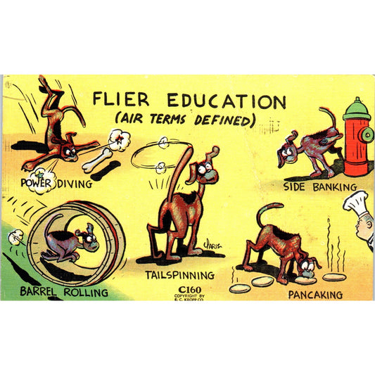 Flier Education, Funny Dog Flying Terms, Comic Humor Original Postcard P1-12