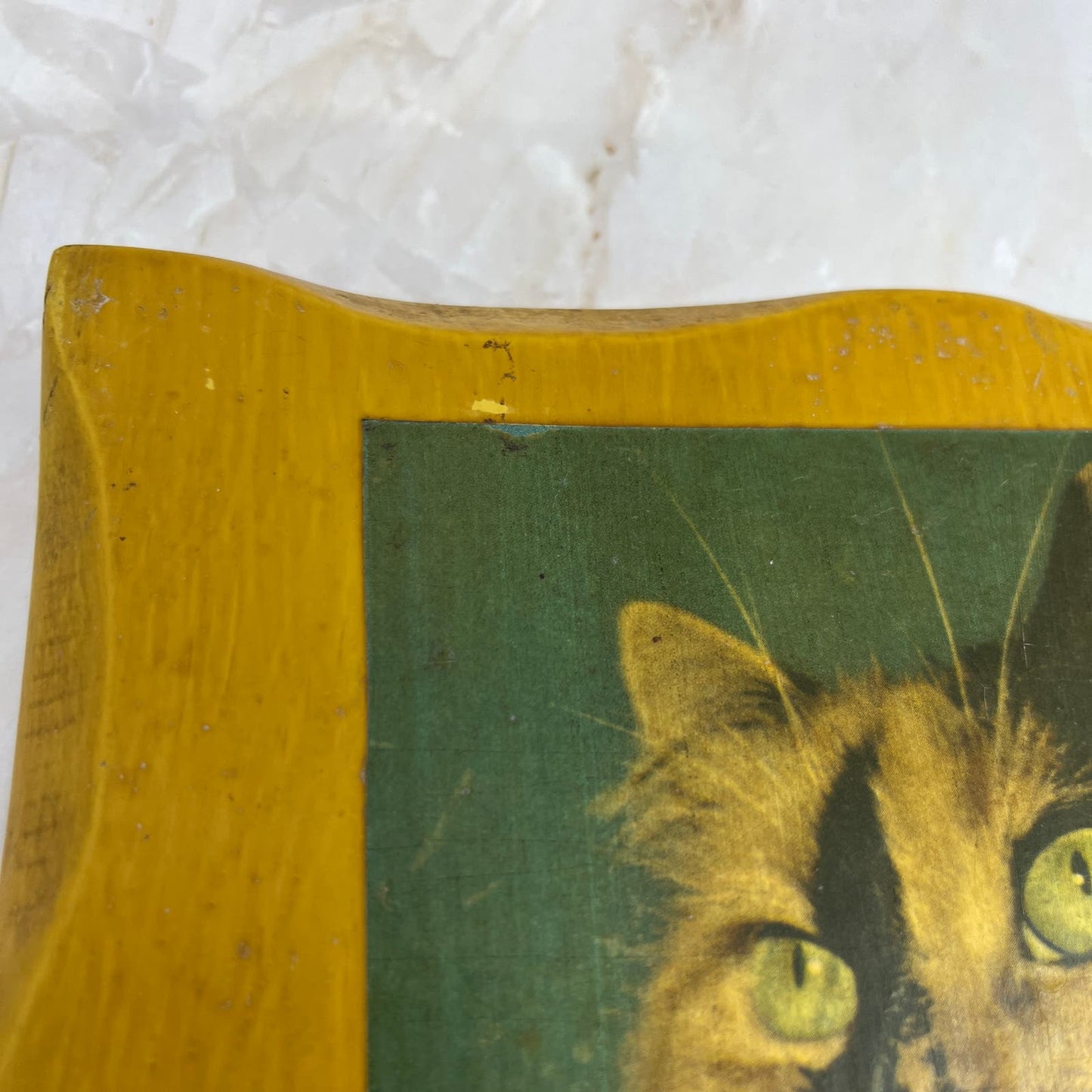 Vintage Retro Rustic Decoupage Photo of Calico Cat on wood plank 8x9.5" TE5