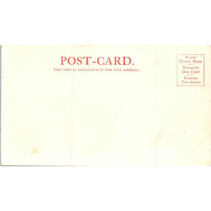 Assembly Hall Salt Lake City Utah c1905 Original Postcard TK1-P18