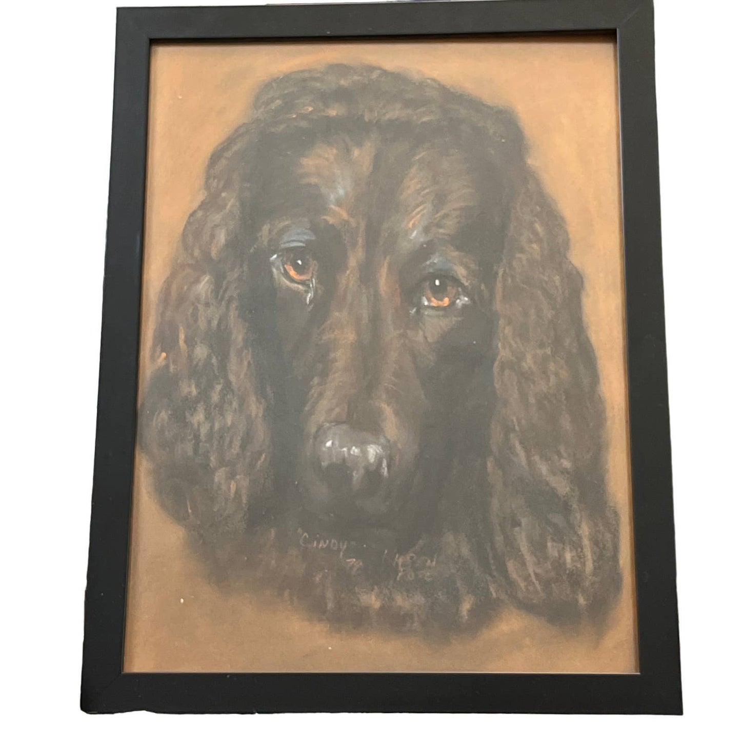 1979 Original Art Spaniel Dog Oil Pastel Framed Signed Karen Rose 17x13"