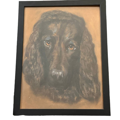 1979 Original Art Spaniel Dog Oil Pastel Framed Signed Karen Rose 17x13"