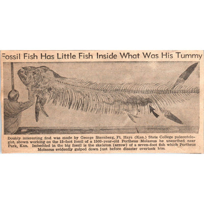 1960s Clipped Newspaper Photo Fish Fossil- George Sternberg Ft. Hays KS SF2