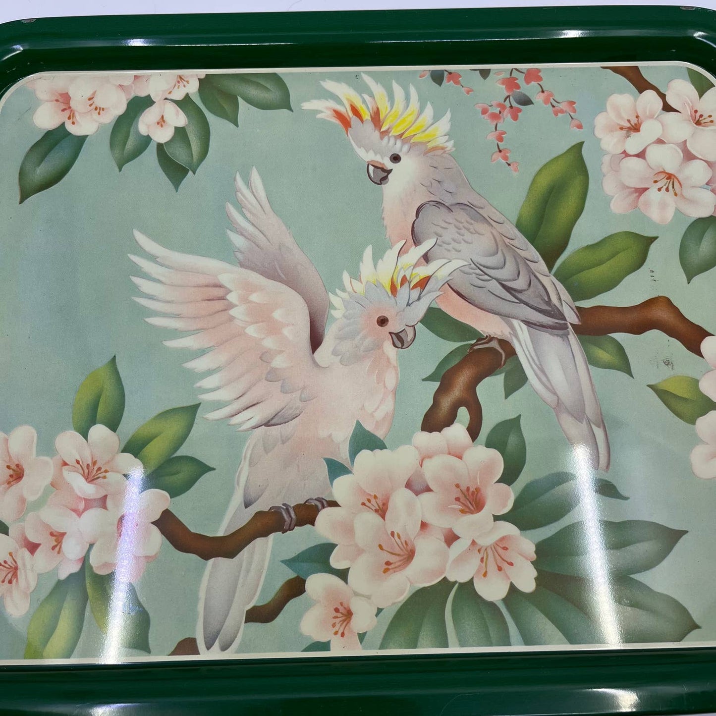 1950's Set of 4 MCM Cockatiel Tropical Toleware Tin Litho Trays 17.5 x 13” TH9-2