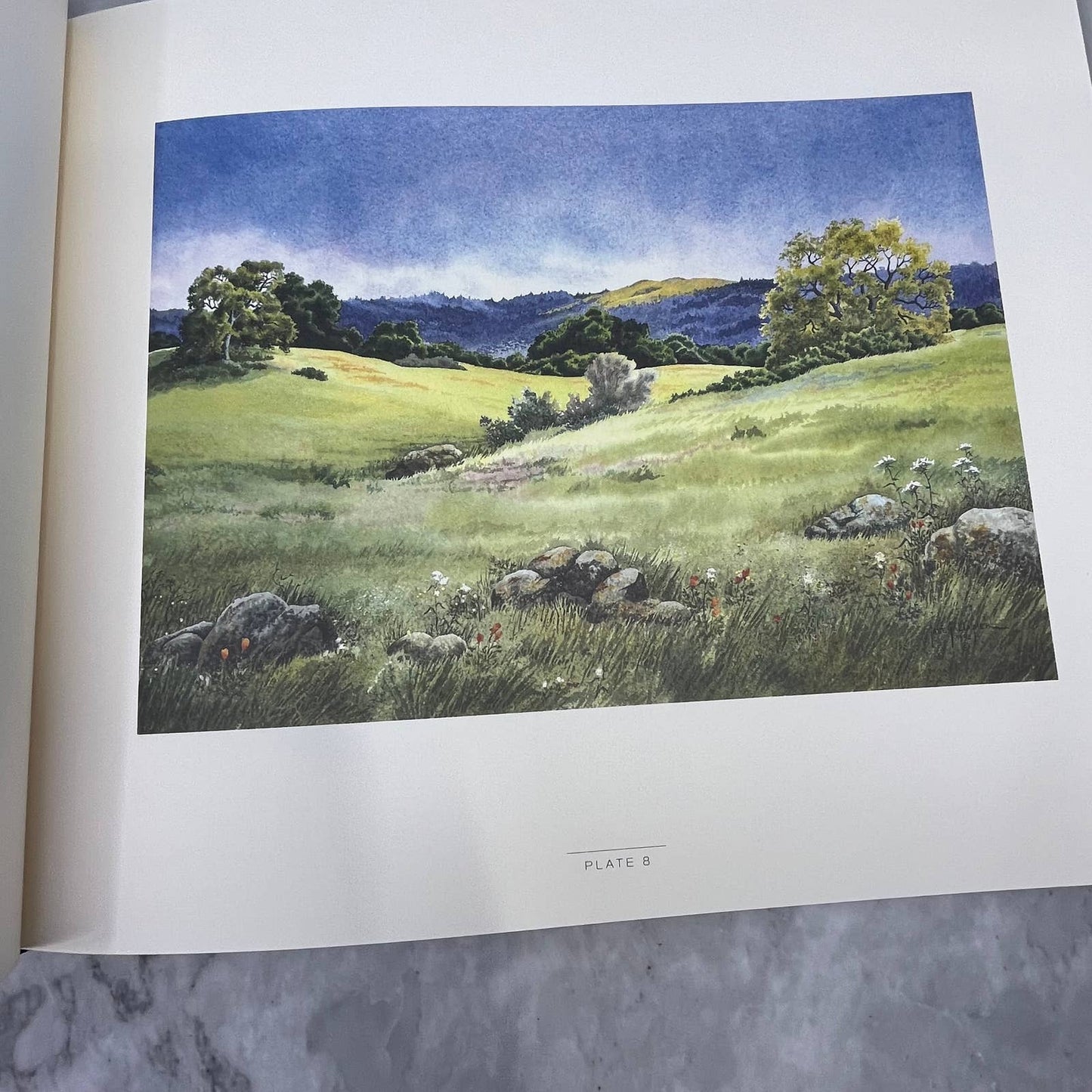 California in Solitude and Silence Jane Gallagher SIGNED First Ed. Slipcover TJ8