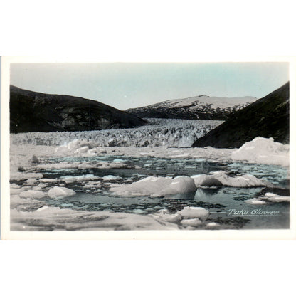Taku Glacier Color RPPC Alaska Original Postcard P2-6