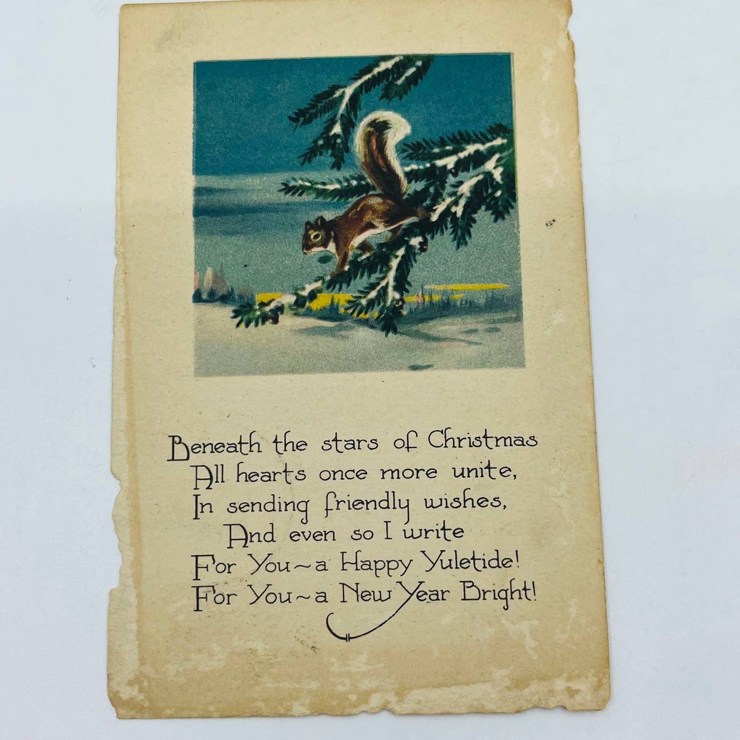 1910s Christmas Post Card WINSCH Back Squirrel Pine Tree Snow Poem PA4