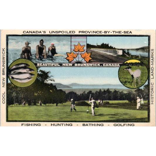 New Brunswick Canada's Unspoiled Province By the Sea - Original Postcard TJ7-RP3